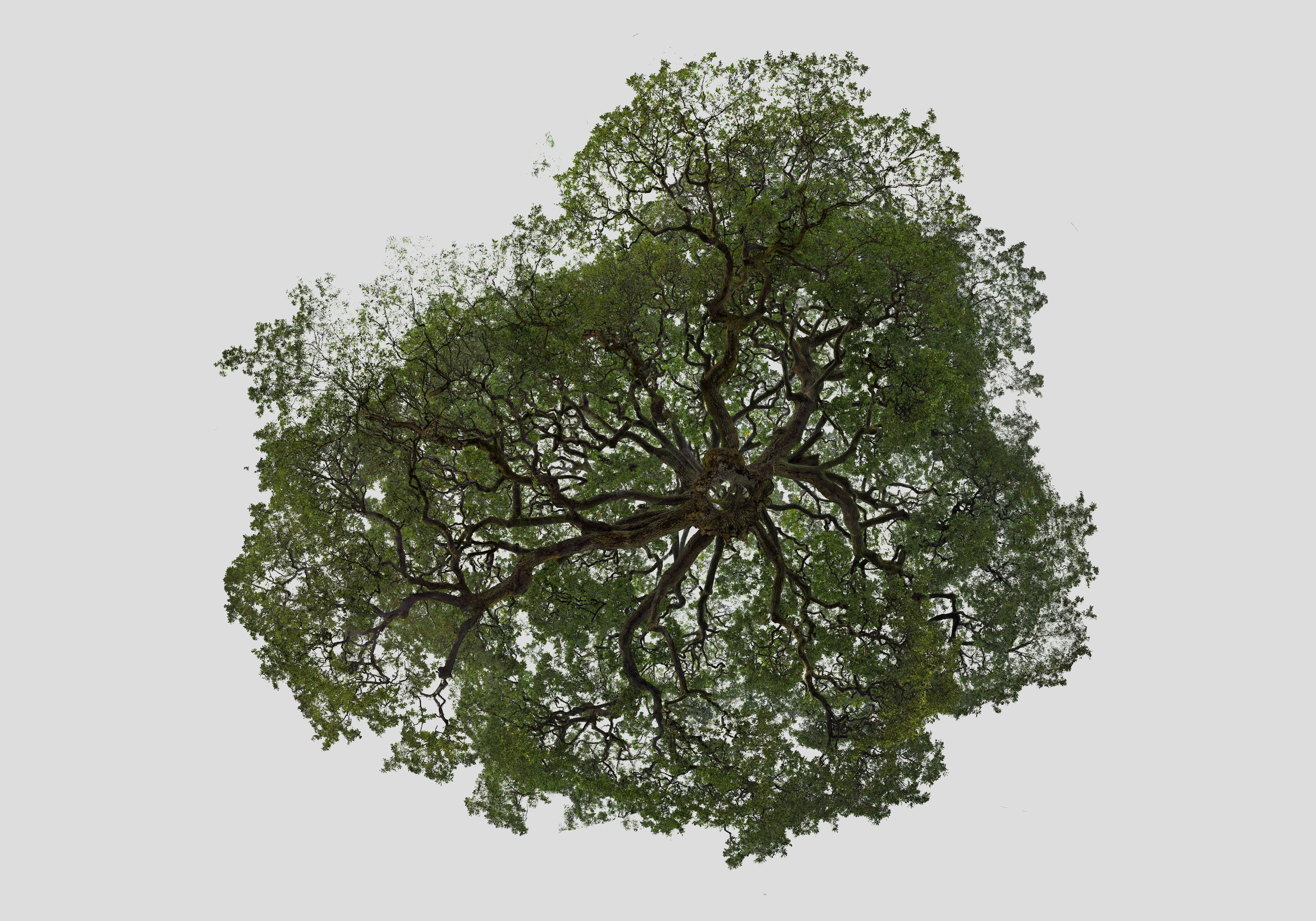 To recolour point cloud data
